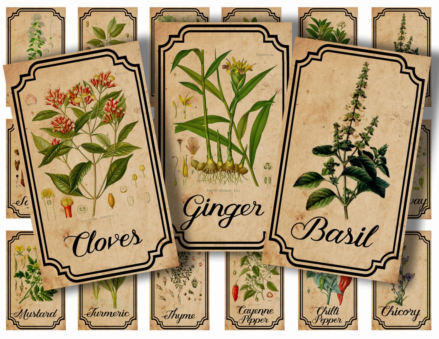 Custom Herbs + Spice Vinyl Labels (16 Fonts) – The Label Place