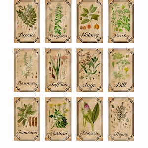 Herb and Spice Apothecary Labels Digital Printable Vintage Labels for ...
