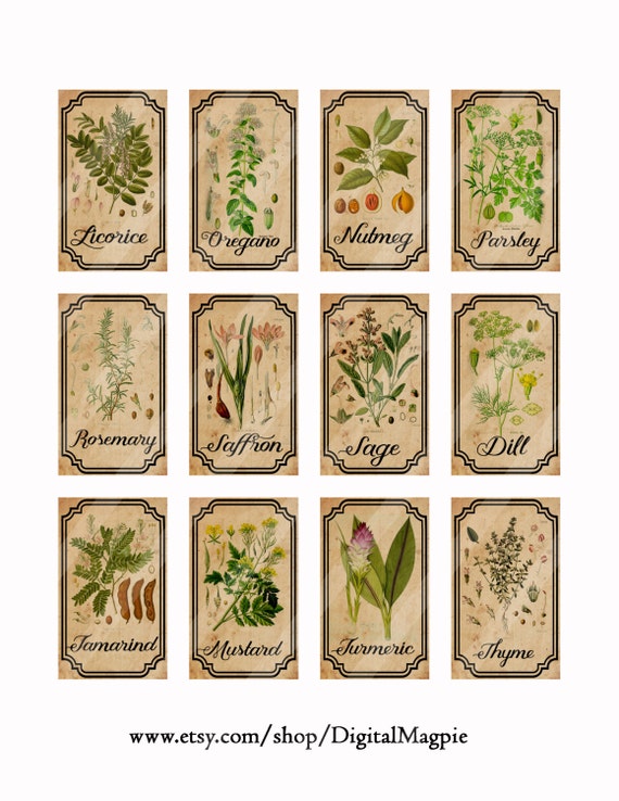 apothecary labels Scrapbooking Decorative Stickers