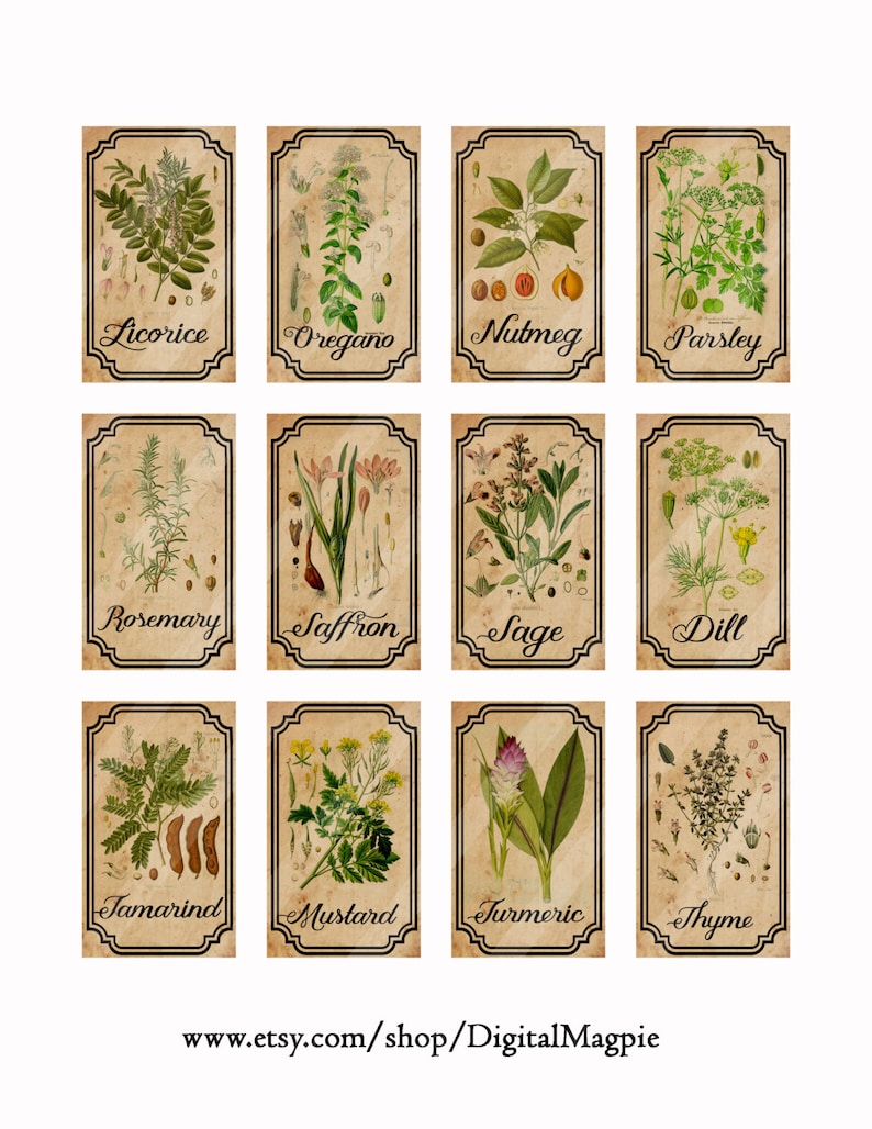 Herb and Spice Apothecary Labels Digital Printable Vintage - Etsy
