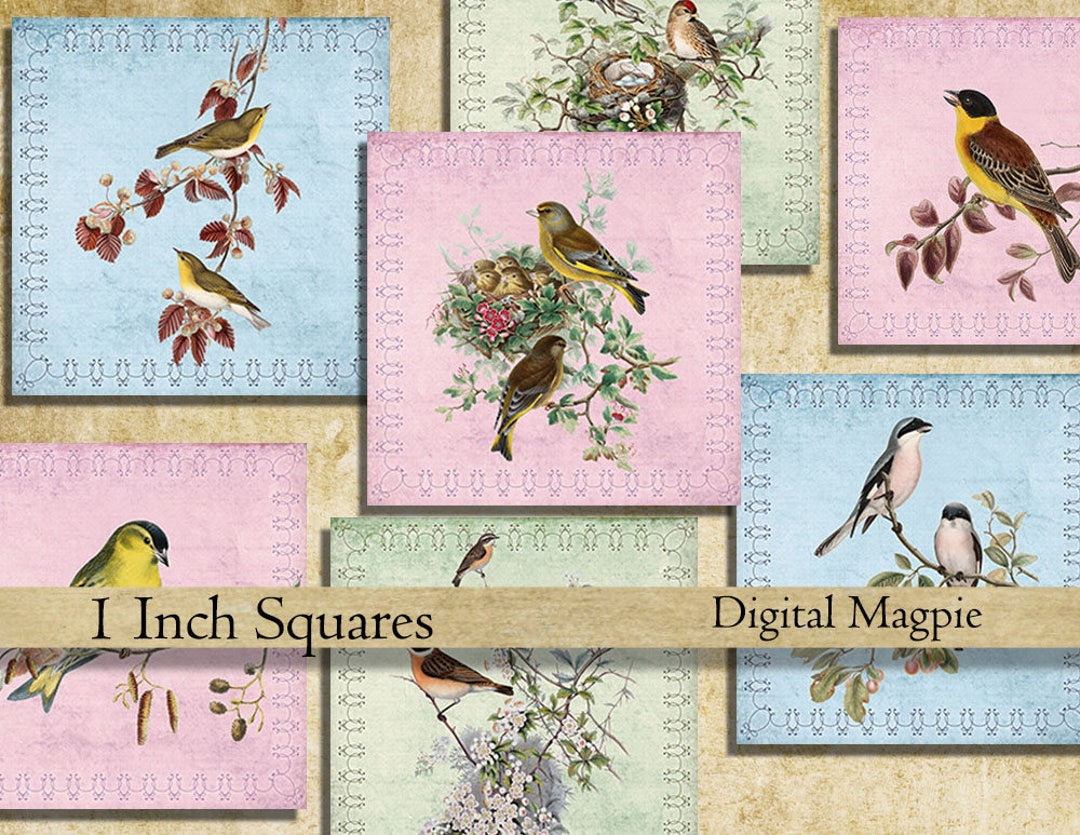 Birds 1 Inch Square Vintage Bird Images Collage Sheet Inchies Printable ...