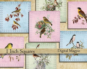 Birds 1 inch square Vintage bird images collage sheet inchies printable digital instant download for pendants jewelry magnets bezel