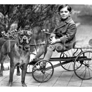 May include: A young boy in a coat sits on a toy car with a large brown dog standing next to him.