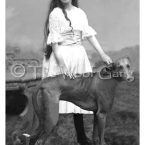 Greyhound e amico Foto d'epoca - scheda di nota