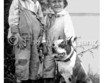Vintage Dog Card  Children with Pit Bull Pal, c. 1905, U.S.A. Photo Note Card