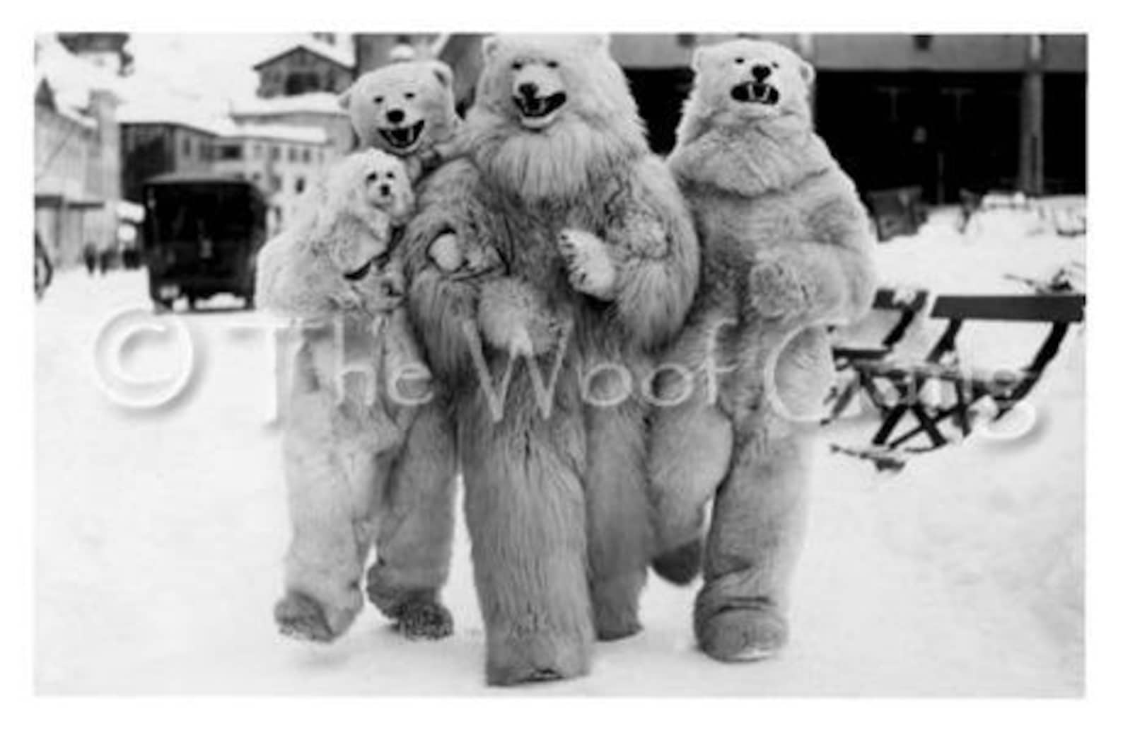 Revelers in polar bear costumes, Germany, 1929 Photo Note Card
