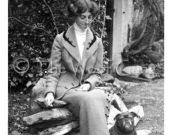 Pudgy Pug in an English Garden, c. 1912 Vintage Photo - Note Card