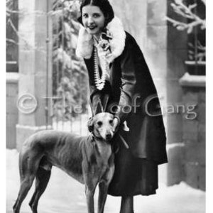 Foto nota carta francese Starlet con Greyhound, c. 1920 foto nota Card