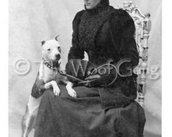 Staffordshire Terrier/Pit Bull Dog, Iowa, c. 1900 Vintage Photo -  Note Card D-50