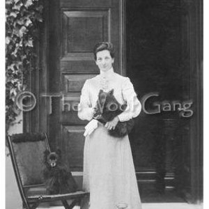 Pomeranians, c. 1910 Vintage Photo - Note Card
