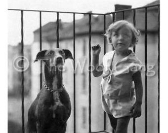 Greyhound and Child, Italy, c. 1930 Vintage Photo - Note Card