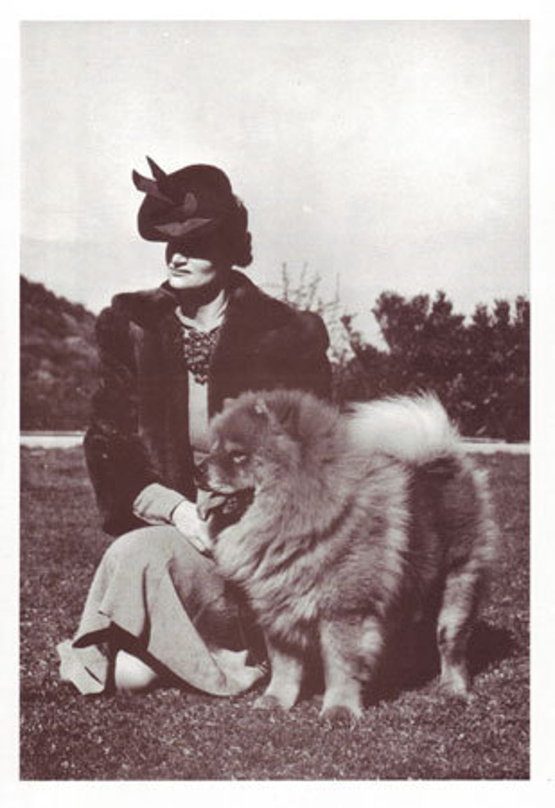 Woman and Her Chow Chow Vintage Photo Note Card image 1