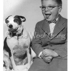 Smooth Fox terrier mix Vintage Photo - Note Card