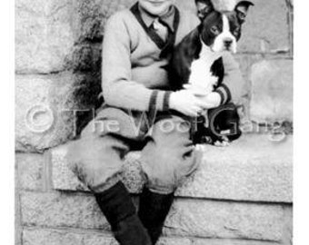 May include: A young boy in a sweater and pants sits on a stone wall with a black and white Boston Terrier dog. The boy is holding the dog in his arms.