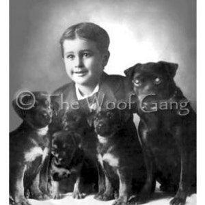 Familia Pug con Young Boy U.S.A., c. 1910 Vintage Photo - Tarjeta nota