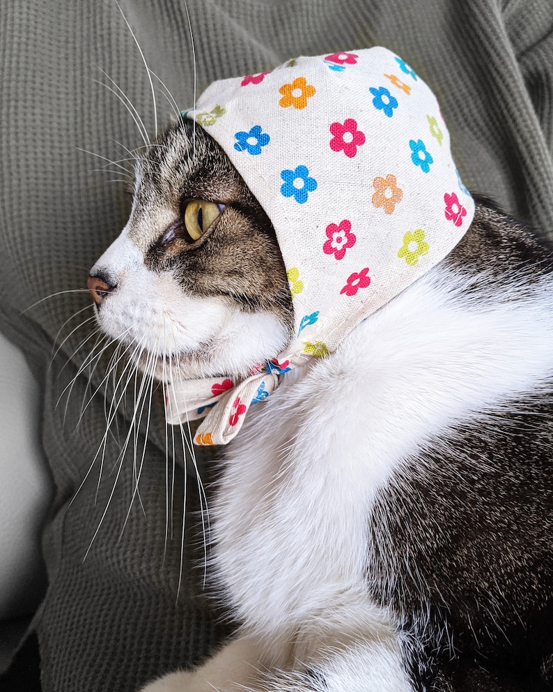 Cat / Bandana PDF Pattern & Tutorial Etsy