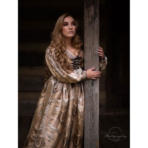 Multi Panel Bodice Overdress perfect for any princess or peasant