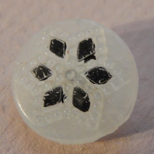 May include: A clear, round button with a floral design. The button has a white, textured surface with six black petal-shaped accents. The button is approximately 1 inch in diameter.