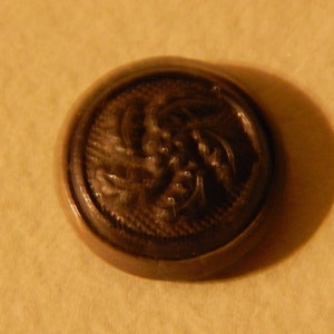 May include: A black metal button with a raised design of a scorpion.