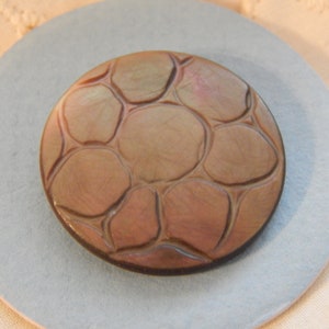 Smokey Brown Shell Button with Swirling Cuts that Look Like a Flower