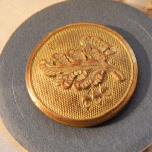 May include: A vintage brass button with an embossed oak leaf and acorn design. The button is circular, with a textured background and a raised relief of the leaf and acorns. The button is set on a gray circular background.