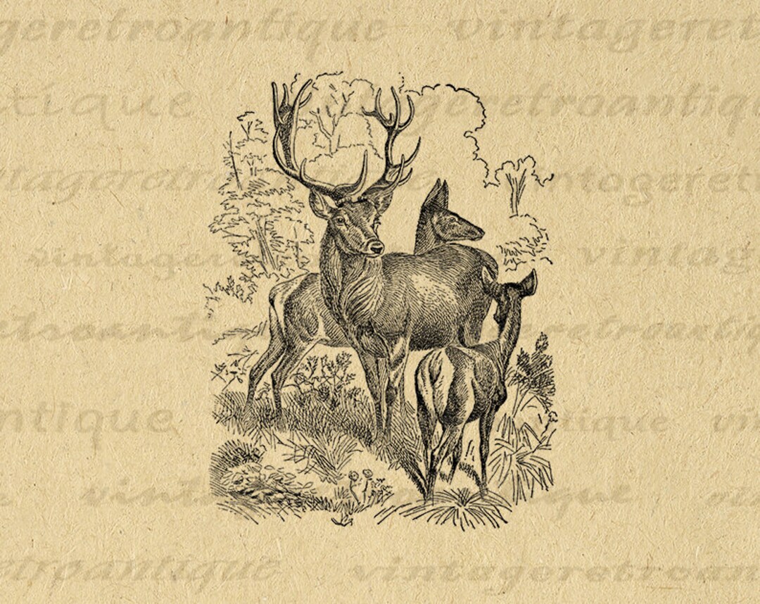 Printable Image Family of Red Deer Download Graphic Digital