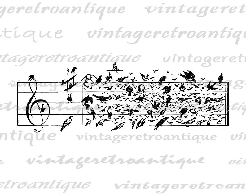 Birds Music Notes Printable Image Graphic Musical Notation - Etsy