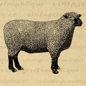 Sheep Digital Image Farm Animal Art Graphic Instant Download Printable Antique Sheep Clip Art for Iron on Transfers etc 300dpi No.718 image 1