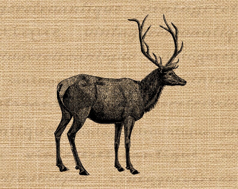 Digital Image Elk Deer Animal Printable Deer Antlers Graphic - Etsy