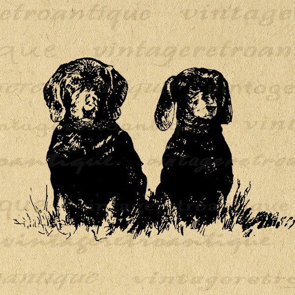 ダックスフントとウィンナー犬2匹の印刷可能なデジタルダウンロードグラフィック犬のイラスト画像アンティーククリップアート転送用300dpi No.3473