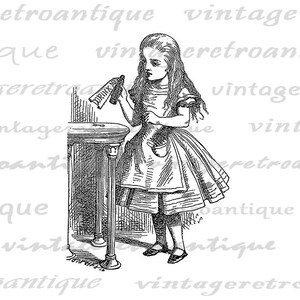 Printable Digital Alice in Wonderland Graphic Drink Me Bottle Illustration Image for Iron on Transfers T-Shirts Pillows 300dpi No.013 image 2