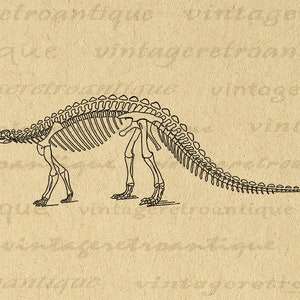 Digital Image Dinosaur Printable Dinosaur Skeleton Download Graphic Vintage Clip Art for Transfers Making Prints etc 300dpi No.2192