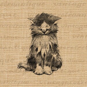 Digital Image Cute Kitten Download Antique Cat Graphic Illustration Printable Vintage Clip Art for Transfers etc 300dpi No.1764 image 3