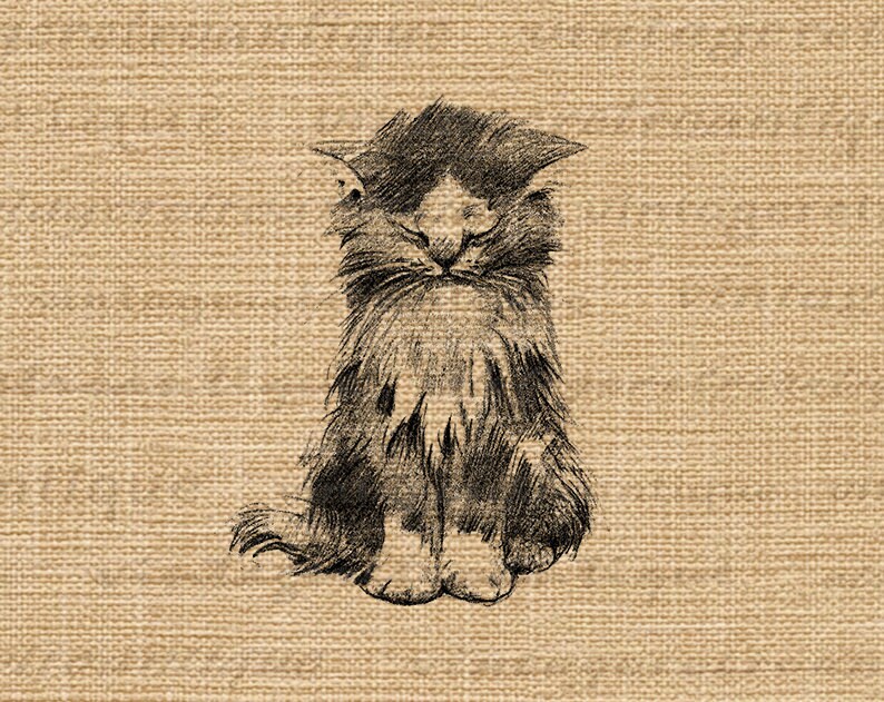 Digital Image Cute Kitten Download Antique Cat Graphic Illustration Printable Vintage Clip Art for Transfers etc 300dpi No.1764 image 3