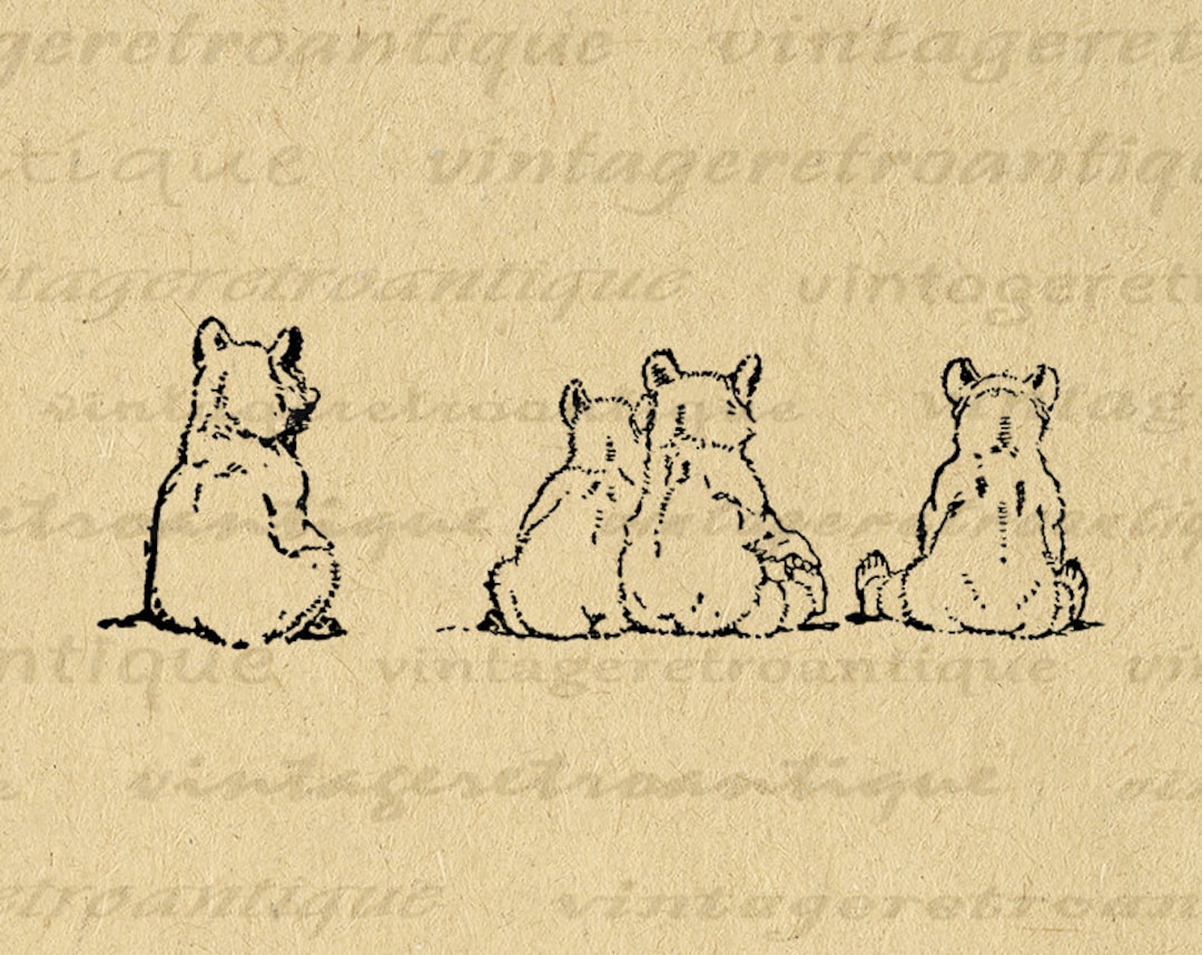 Bear Cubs Digital Image Printable Bears Graphic Illustration Download ...