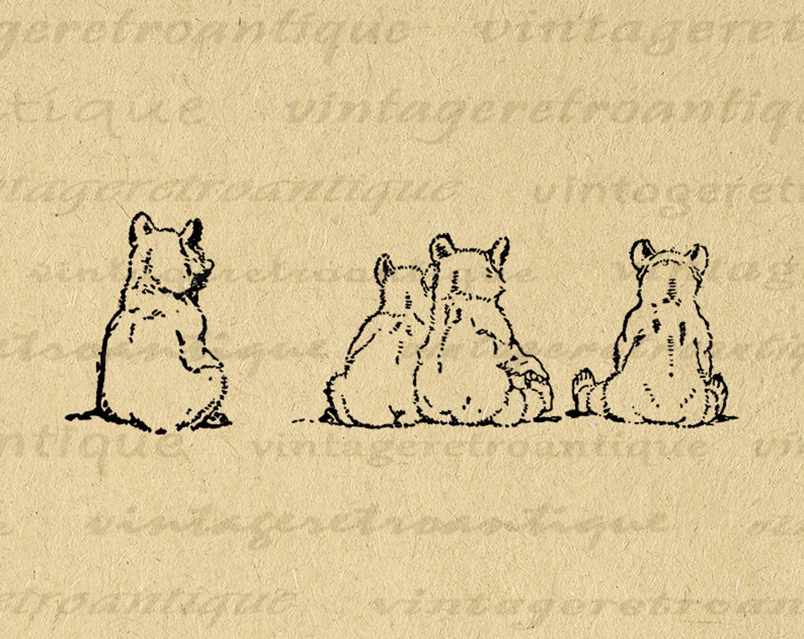 Bear Cubs Digital Image Printable Bears Graphic Illustration Download ...