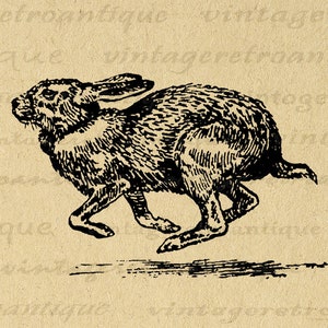 Running Rabbit Digital Image Graphic Download Antique Bunny Illustration Printable Vintage Clip Art for Transfers etc 300dpi No.1315
