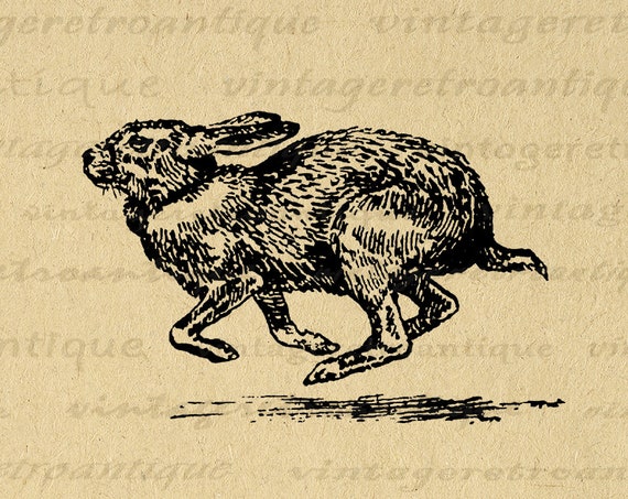 ★Original ART  ‘RABBIT' HMK176 Rabbit Reading Chair Box Frame - JanMichaels Art and Home