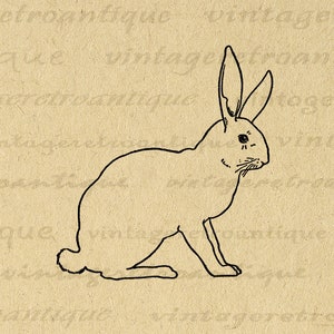 Printable Bunny Rabbit Digital Image Illustration Download Animal Artwork Spring Graphic Vintage Clip Art for Transfers etc No.3708