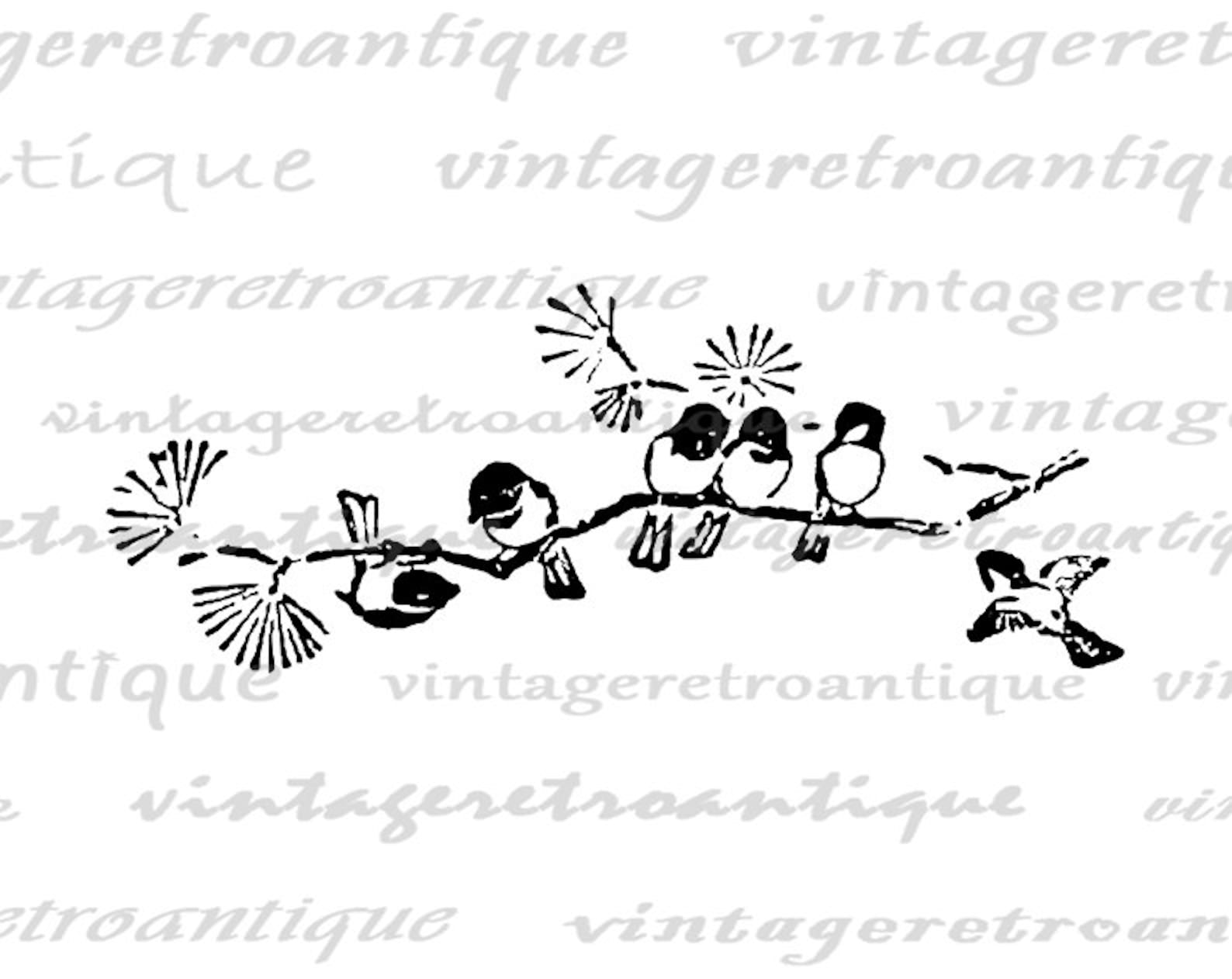 Printable Birds on Branch Graphic Antique Bird Digital Image Instant ...