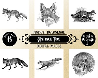 Set of 6 Antique Foxes Printable Art, 12x12 Digital Images, Instant Download JPG & PNG, Vintage Wildlife Wall Decor, Vintage Fox Artwork