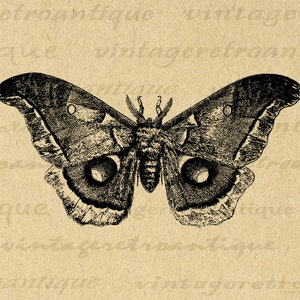 K&ouml;nnte beinhalten: Schwarzwei&szlig;-Illustration eines Nachtfalters mit gro&szlig;en, abgerundeten Fl&uuml;geln. Der Nachtfalter hat zwei gro&szlig;e, runde Augen auf seinen Fl&uuml;geln.