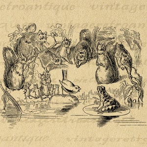Graziosa grafica digitale di animali, scoiattolo, uccello, rana, stampabile, download, immagine, clip art di animali vintage per trasferimenti, ecc., 300 dpi, n. 3537