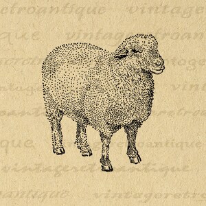 Printable Sheep Artwork Digital Sheep Image Instant Download Farm Animal Graphic Vintage Clip Art for Transfers etc 300dpi No.3471