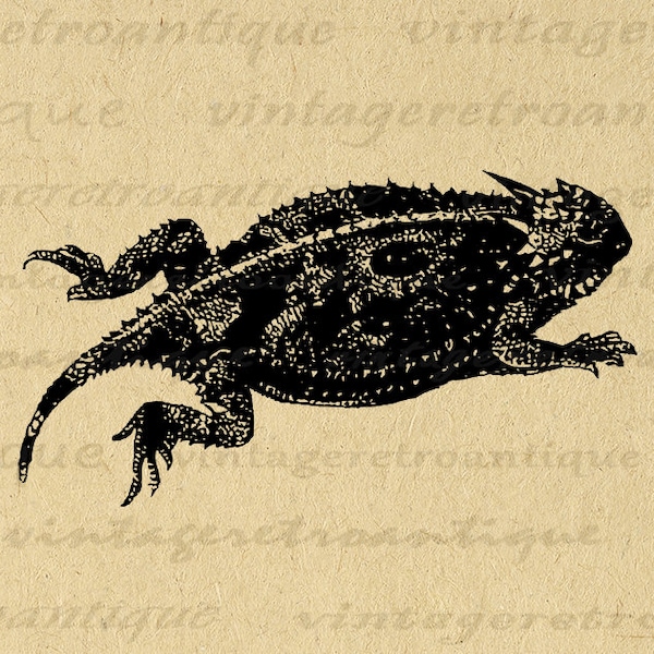 Digital Horned Toad Image Printable Frog Illustration Graphic Download Antique Toad Clip Art for Iron on Transfers etc 300dpi No.3414