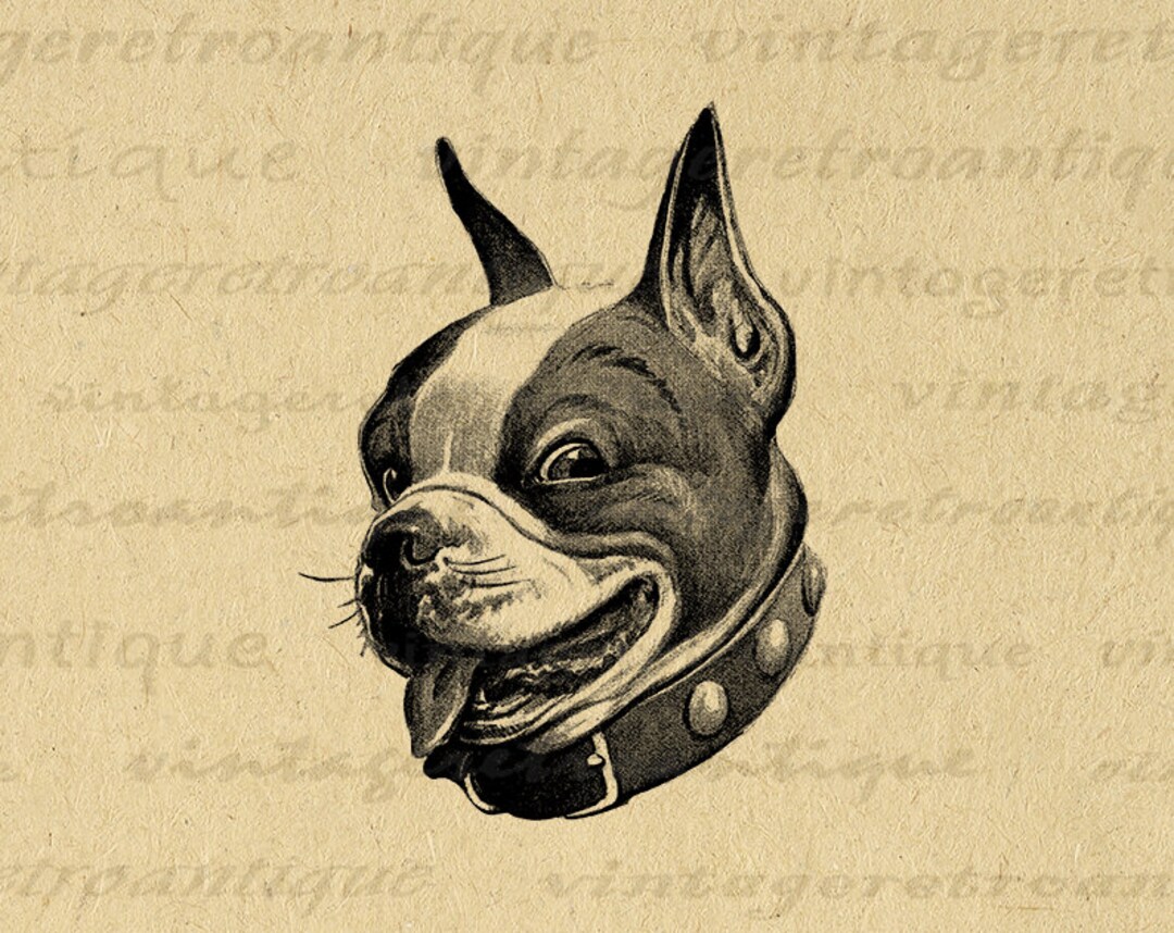 Printable Boston Terrier Digital Image Download Dog Graphic Antique ...