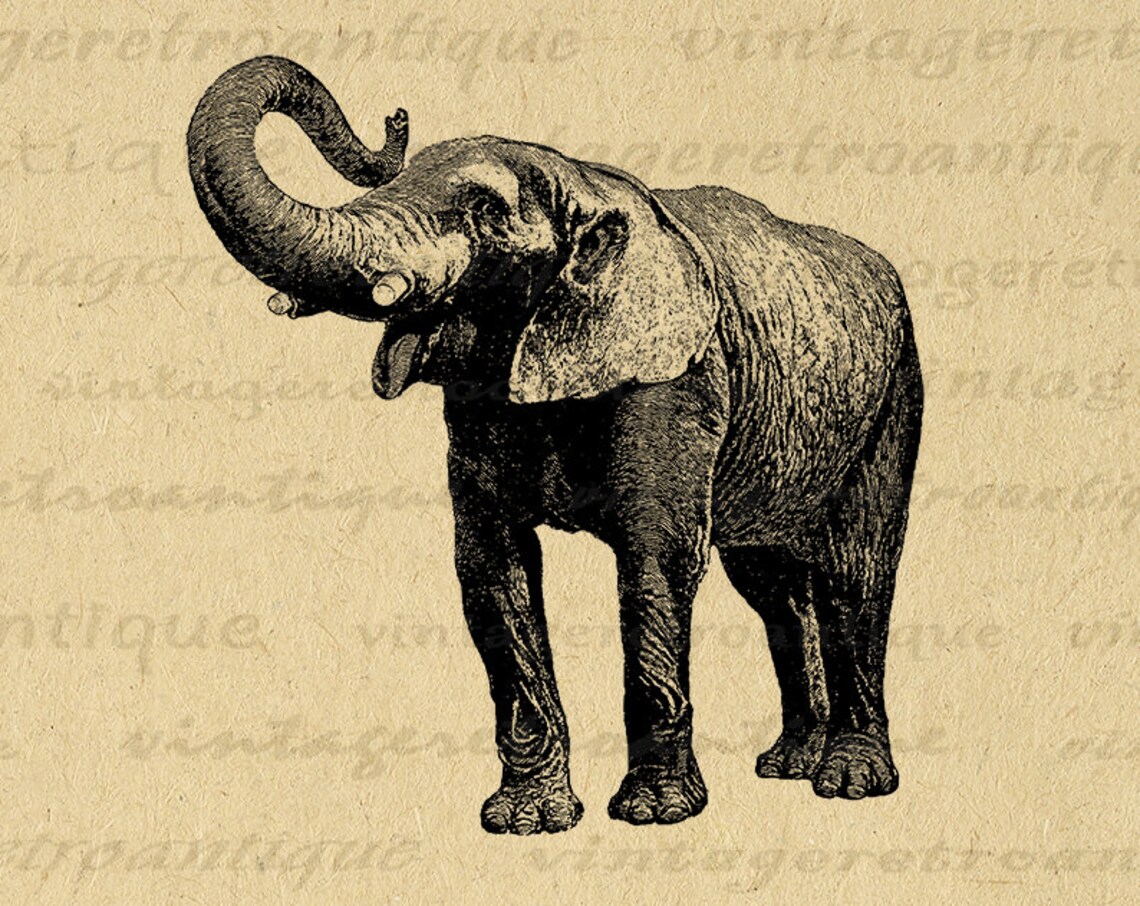 Printable Elephant Graphic Digital Antique Elephant Image | Etsy