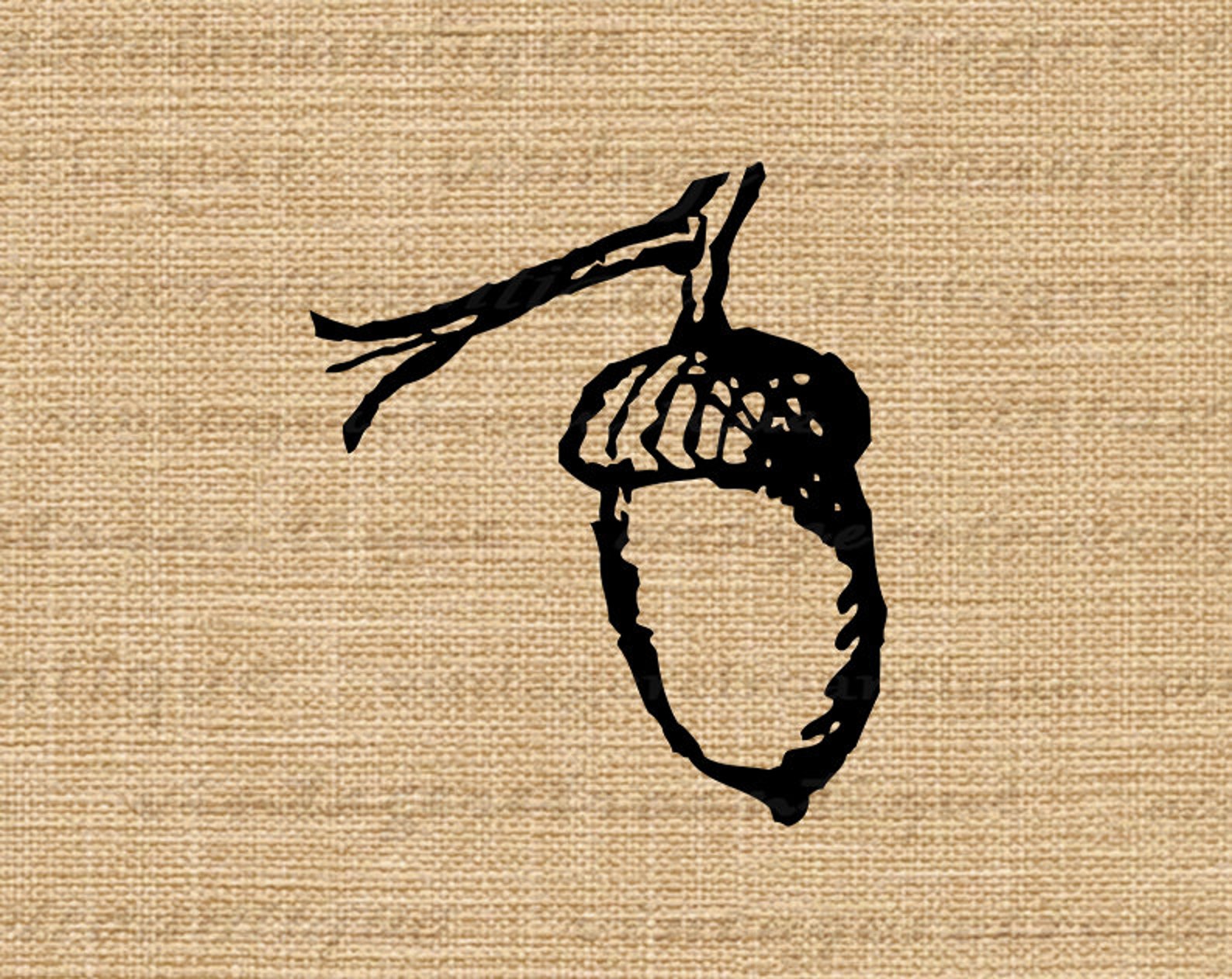 digitized acorn free download digitized acorn free download