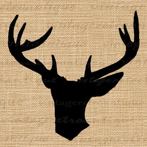 Deer Silhouette Image Graphic Digital Buck Antlers Illustration ...
