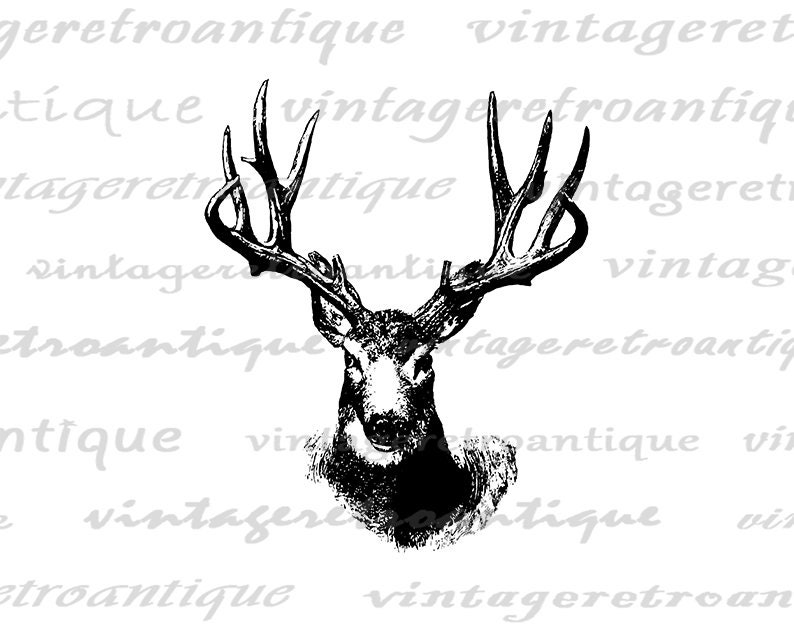 Antique Deer Printable Digital Download Animal Antlers Graphic Image ...